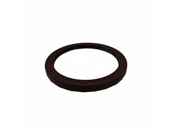 Rotary Shaft Lip Seal 12319931 for MWM TCG 2016 Engines (Replaces 12152293)