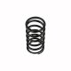 Genuine MWM 01222009 Compression Spring XBAZA (For TCG 2016 Engines)
