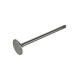 Genuine MWM 12452424 Exhaust Valve XBAZA (Replaced by 12454246) for TCG 2020 Engines