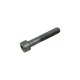 Genuine MWM 01178702 OEM Cheese Head Screw/Bolt (Suitable for TCG 2016 Engines)