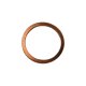 Genuine MWM 01102146 Sealing Ring (XBAZA)