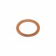 Genuine MWM 01118718 OEM Sealing Ring (Suitable for TCG & TBD Series)