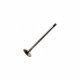 Exhaust Valve for MWM TBG 620 Engines | OEM 12141699