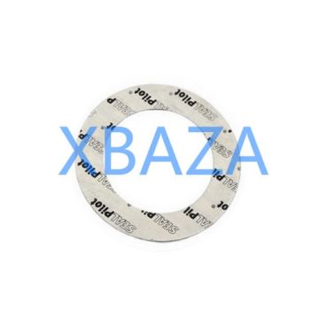 Gasket 100065 for Jenbacher Gas Engine
