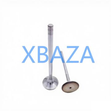 MWM 12304754 inlet valve for TBG620 TCG2020 gas engine