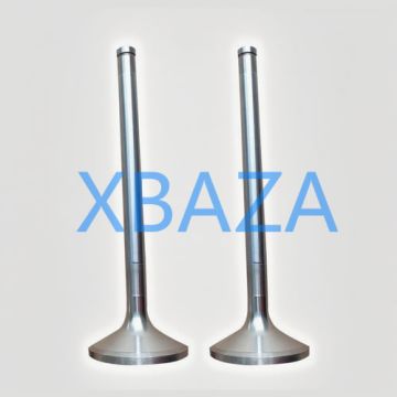 Intake Valve 375631 for Jenbacher Gas Engine