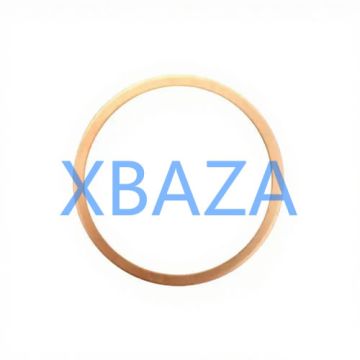 Jenbacher Parts Sealing Ring 100843 for Jenbacher J320 Gas Engine