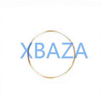 Ring Gasket 12032893 for MWM TCG2020 Gas Engine And Deutz TBD620