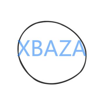 Jenbacher 456733 O-ring for Jenbacher Gas Engine