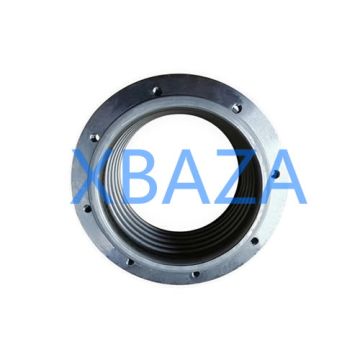 Compensator 12453254 for MWM TCG2020 Gas Engine