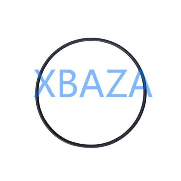 Round sealing ring MWM 12524033