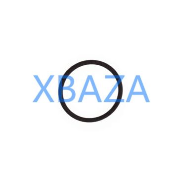 Sealing Ring 100829 for Jenbacher Gas Engine