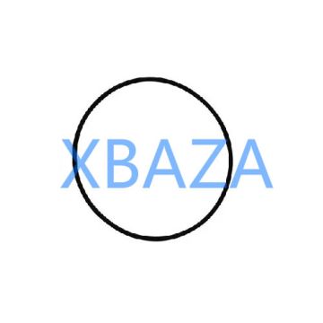 Jenbacher 224577 O-ring for Jenbacher Gas Engine