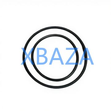 Jenbacher 222725 Sealing Ring for Jenbacher Gas Engine