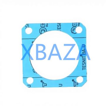 MWM 01167556 gasket for TCG2020 gas engine