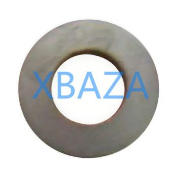 Washer 102162 for Jenbacher J420 Gas Engine