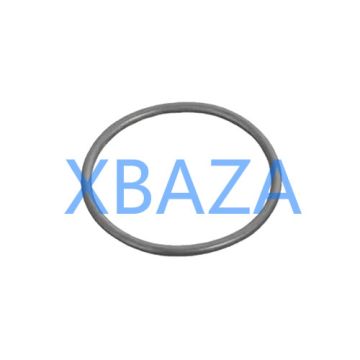 Round Sealing Ring MWM 12523973