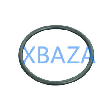 O-seal MWM 01153838
