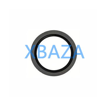 Sealing ring MAN 06566310112 original