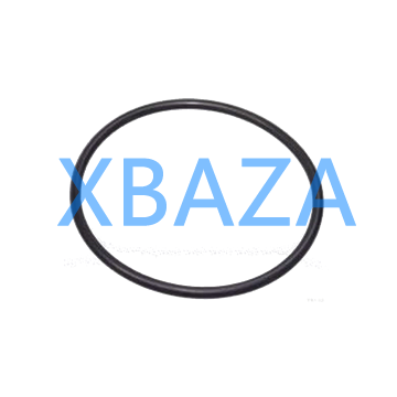 O-seal MAN 06569303113 original