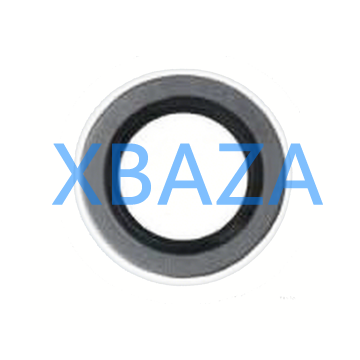 Sealing ring MAN 06566310106 original