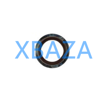 Sealing ring MAN 06566310239 original