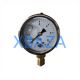 Gauge 406705 for Jenbacher J320 Gas Engine