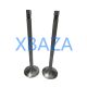 Exhaust Valve 12141699 for MWM TCG2020 Gas Engine