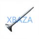 Exhaust Valve 12452424 for MWM TCG2020 Gas Engine